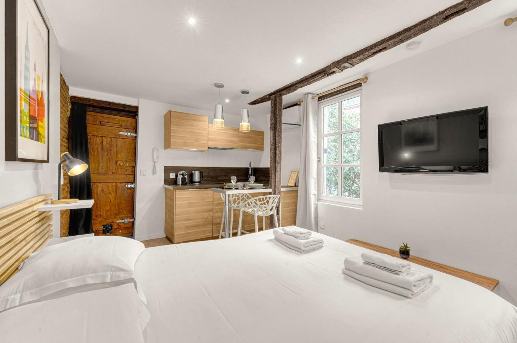 Appartement Le Des Antiquaires - Climatise Toulouse