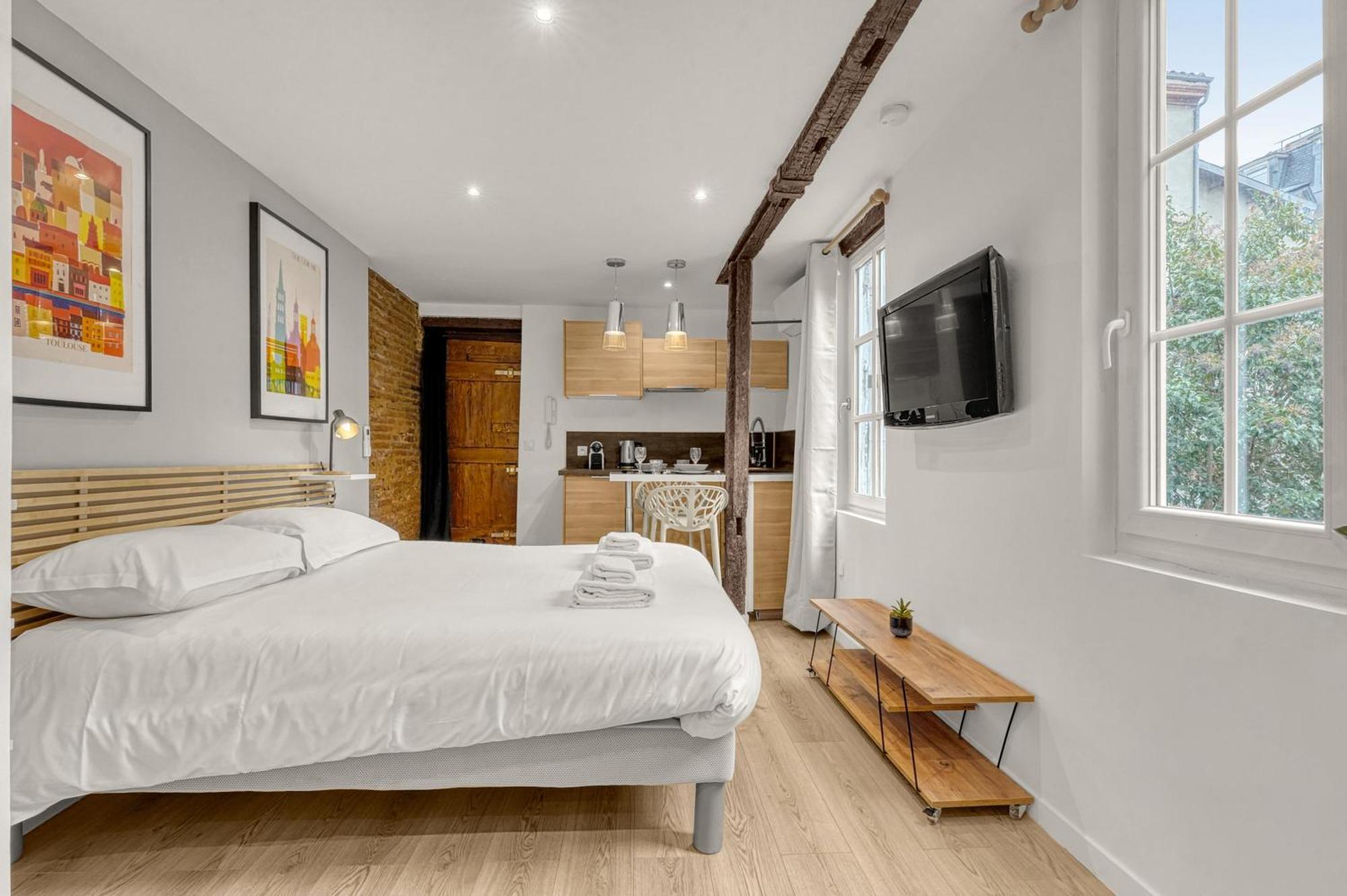Le Des Antiquaires - Climatise Appartement Toulouse